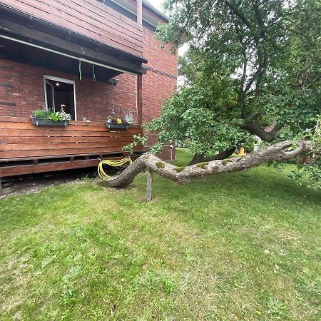 Ferienwohnung Am Kirschenbaum شتاينهودي المظهر الخارجي الصورة